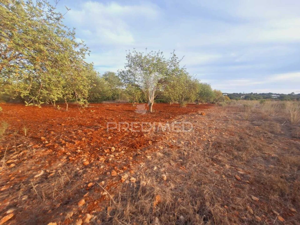 Terreno para Venda em Loule (São Sebastião) Foto 6