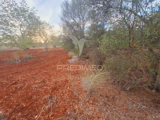 Terreno para Venda em Loule (São Sebastião) Foto 10