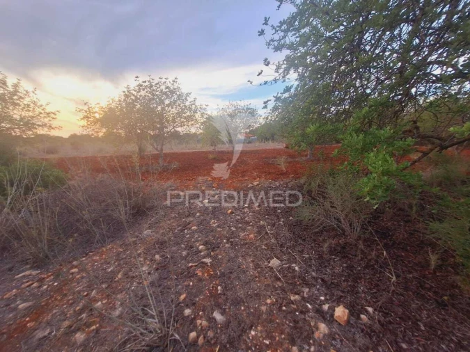 Terreno para Venda em Loule (São Sebastião) Foto 8