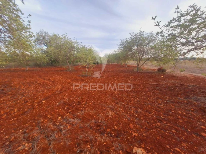 Terreno para Venda em Loule (São Sebastião) Foto 9