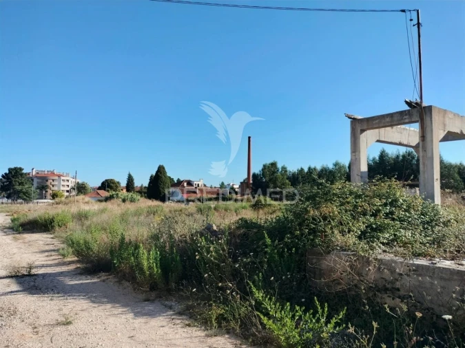 Terreno para Venda em Nossa Sra de Fatima Foto 35