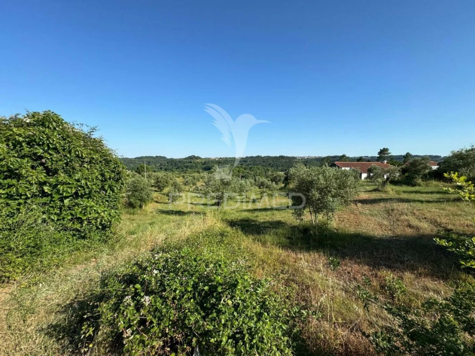 Terreno para Venda em Seiça Foto 4