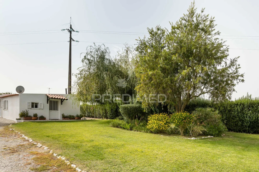 Quinta T4 para Venda em Poceirão e Marateca Foto 6