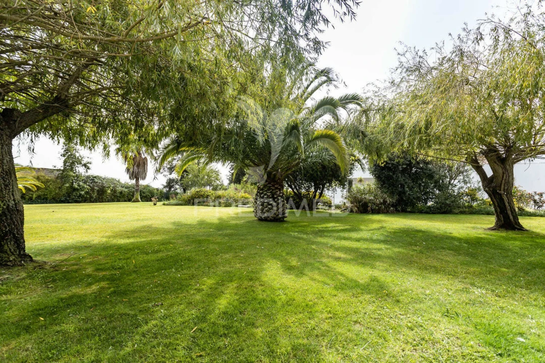 Quinta T4 para Venda em Poceirão e Marateca Foto 17