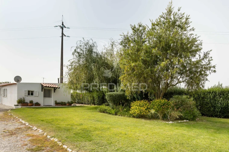 Quinta T4 para Venda em Poceirão e Marateca Foto 6