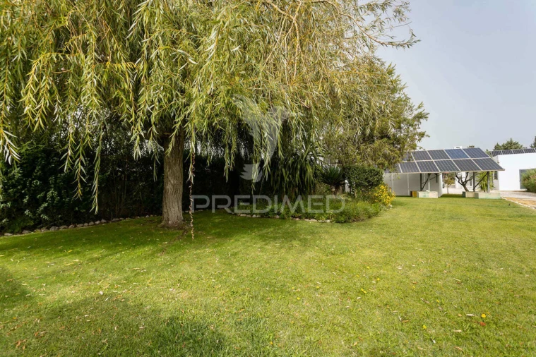 Quinta T4 para Venda em Poceirão e Marateca Foto 18