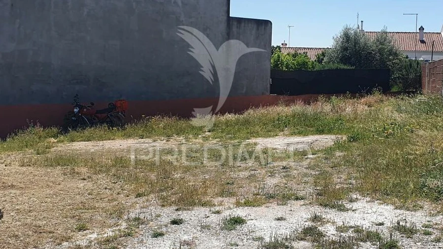 Terreno para Venda em Pardais