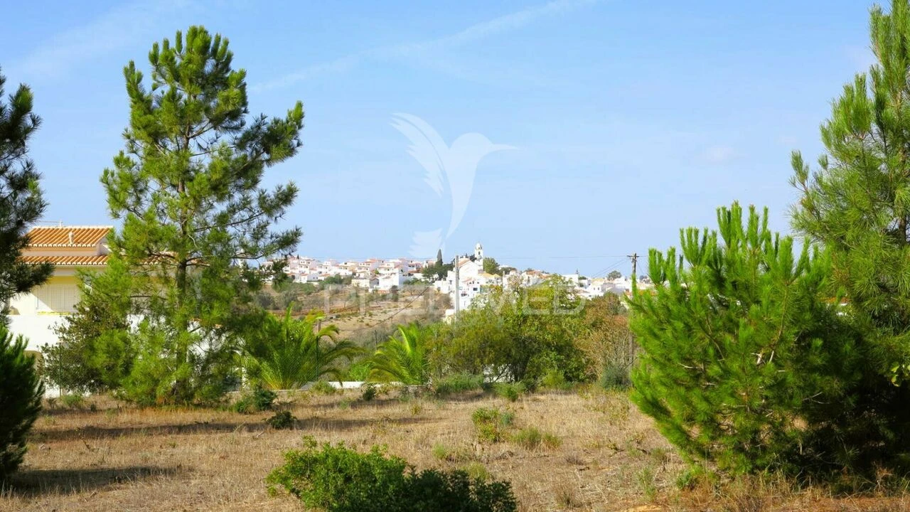 Terreno para Venda em Porches Foto 9