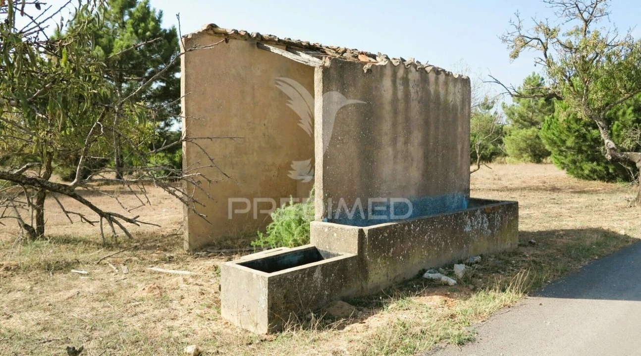 Terreno para Venda em Porches Foto 12