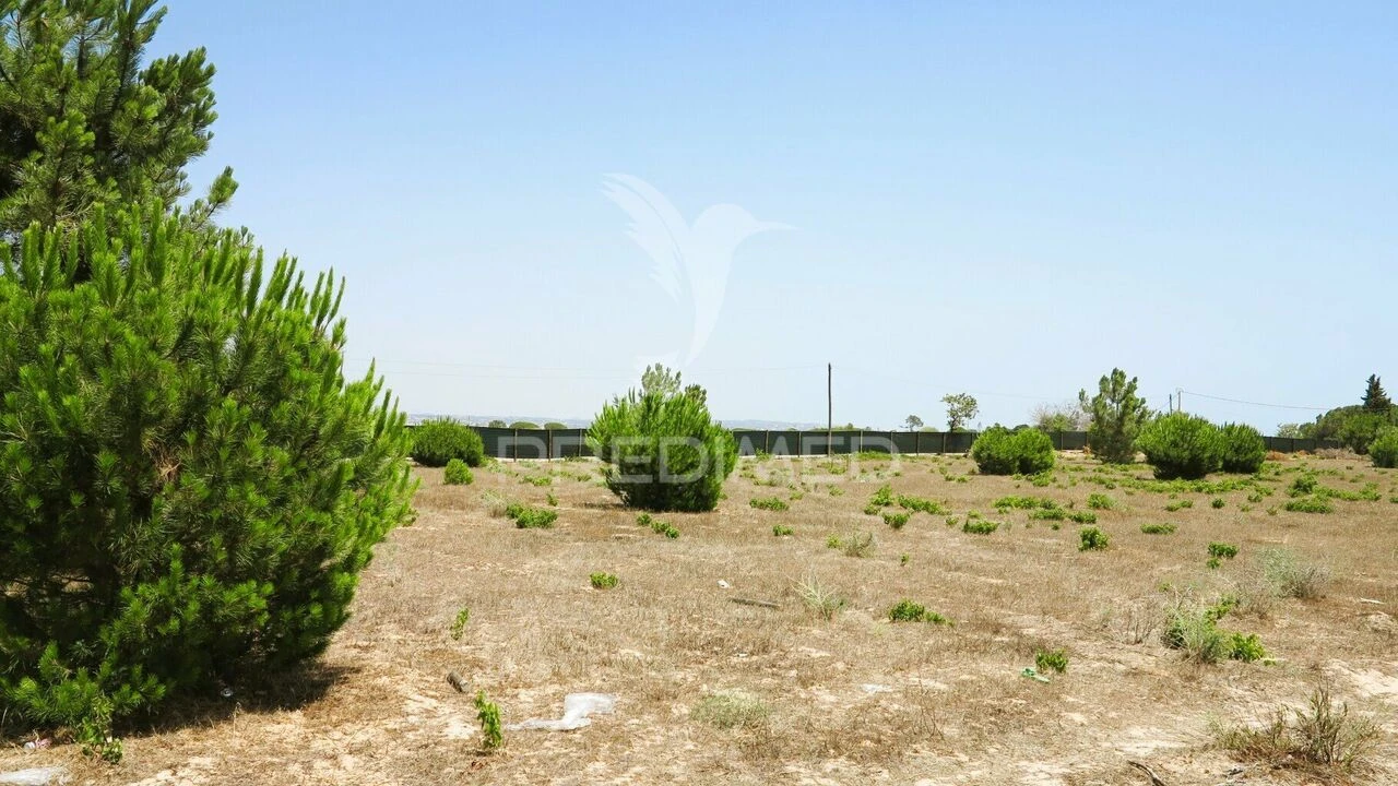 Terreno para Venda em Porches Foto 19