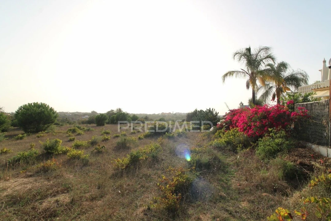 Terreno para Venda em Porches Foto 14