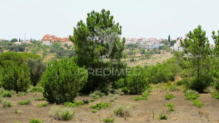 Terreno para Venda em Porches Foto 7