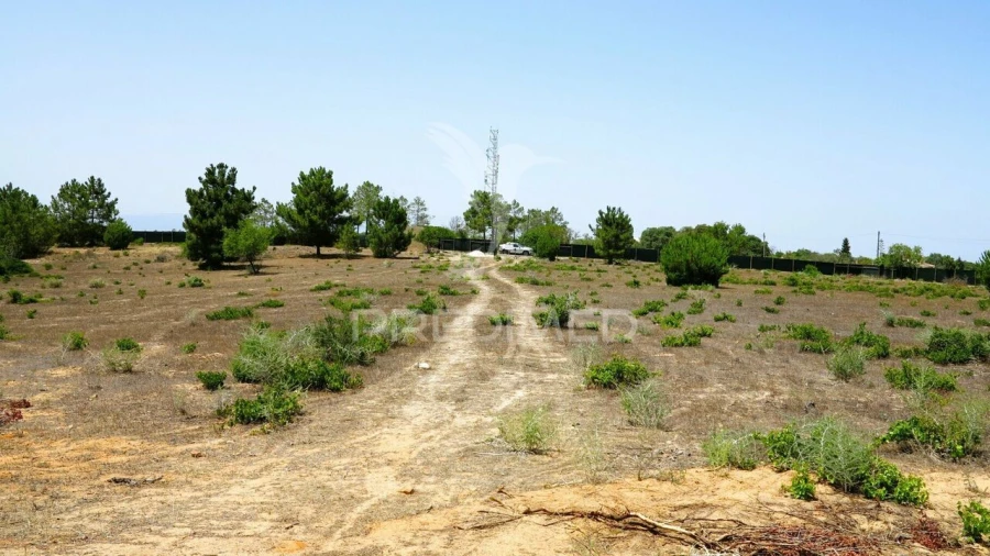 Terreno para Venda em Porches Foto 23