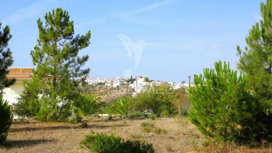 Terreno para Venda em Porches Foto 9