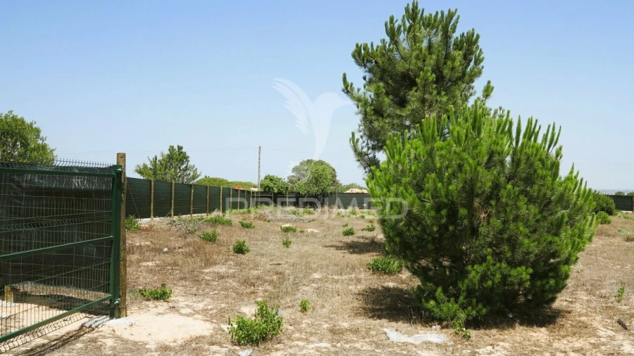 Terreno para Venda em Porches Foto 17