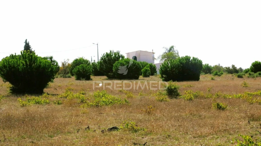 Terreno para Venda em Porches Foto 10