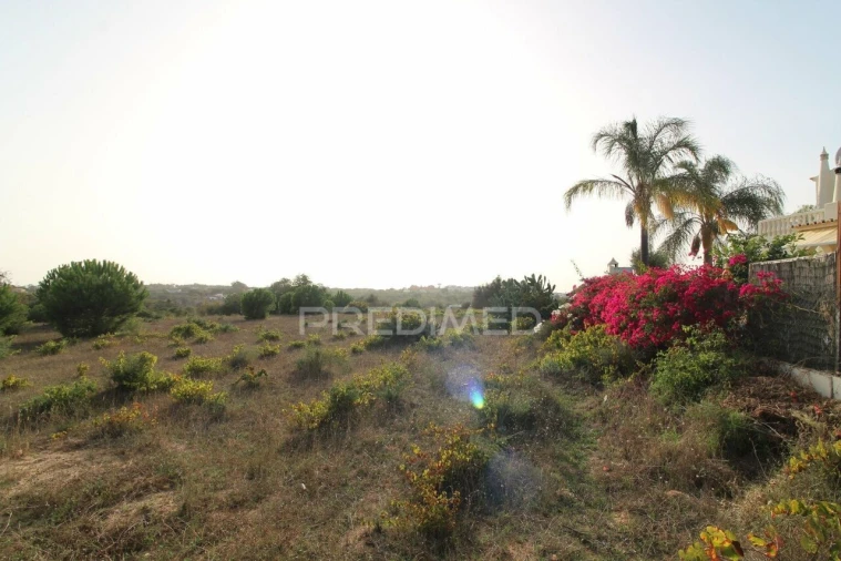 Terreno para Venda em Porches Foto 14