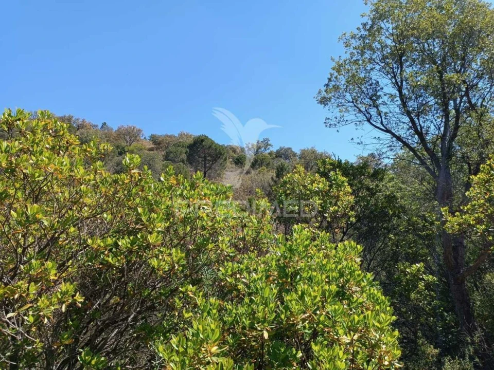 Quinta T3 para Venda em Salir Foto 20