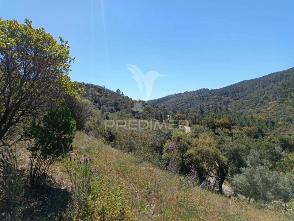 Quinta T3 para Venda em Salir Foto 21