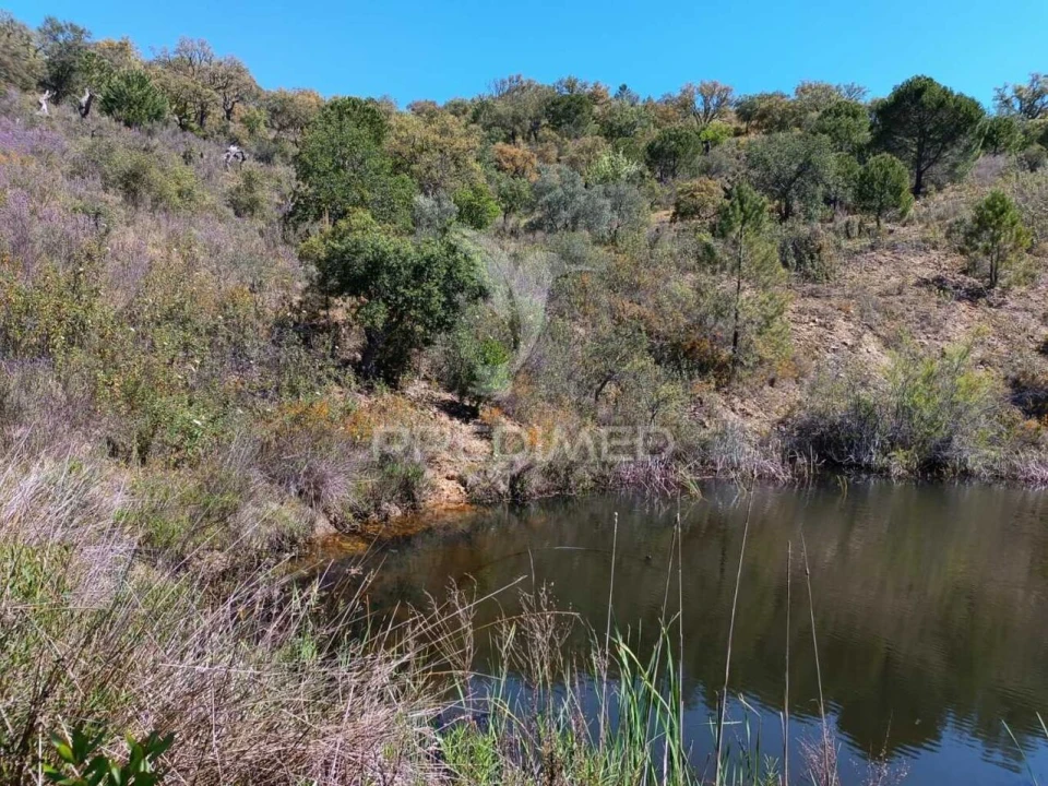 Quinta T3 para Venda em Salir Foto 24