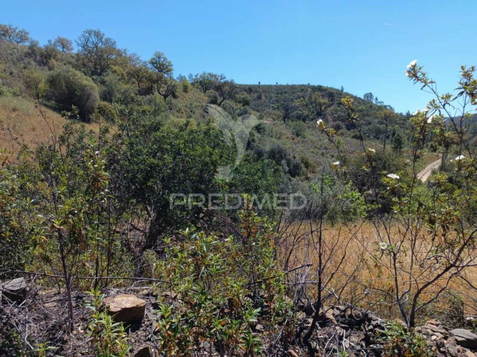 Quinta T3 para Venda em Salir Foto 15