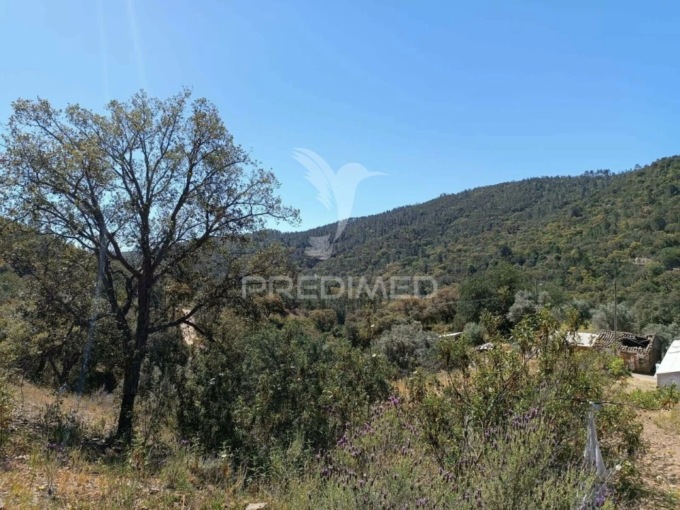 Quinta T3 para Venda em Salir Foto 31