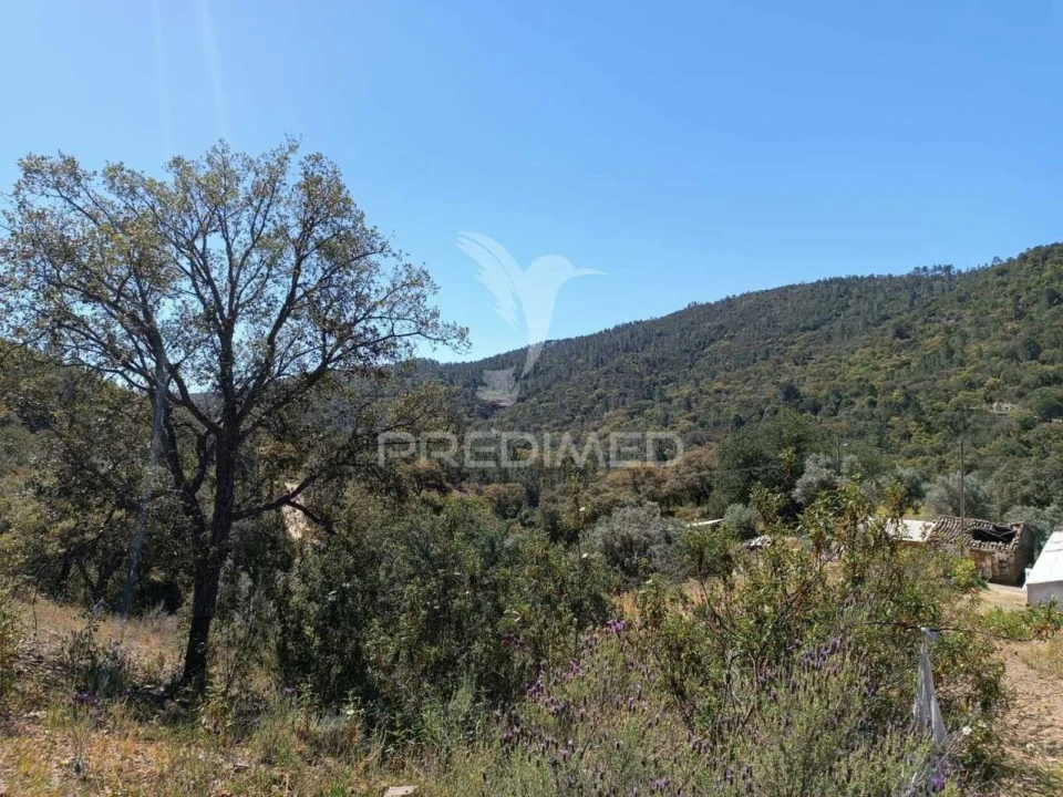 Quinta T3 para Venda em Salir Foto 16