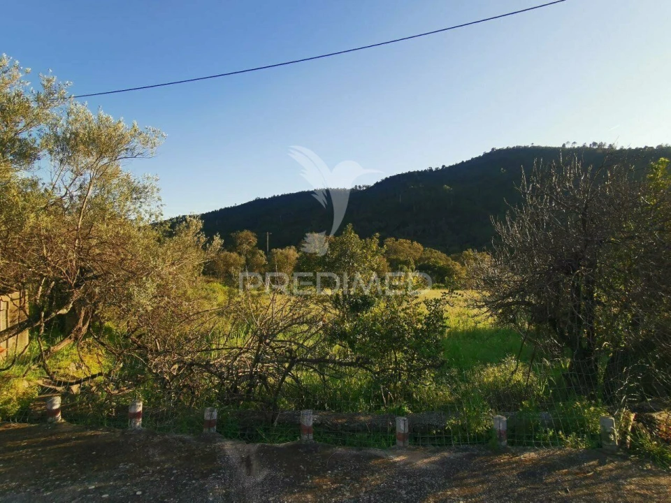 Quinta T3 para Venda em Salir Foto 28