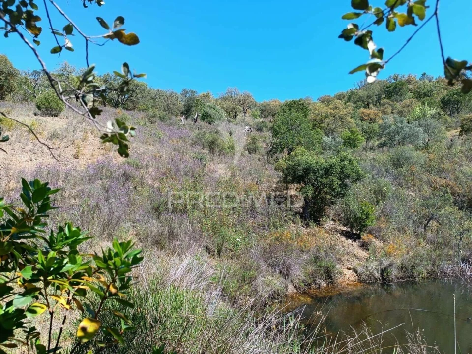 Quinta T3 para Venda em Salir Foto 32