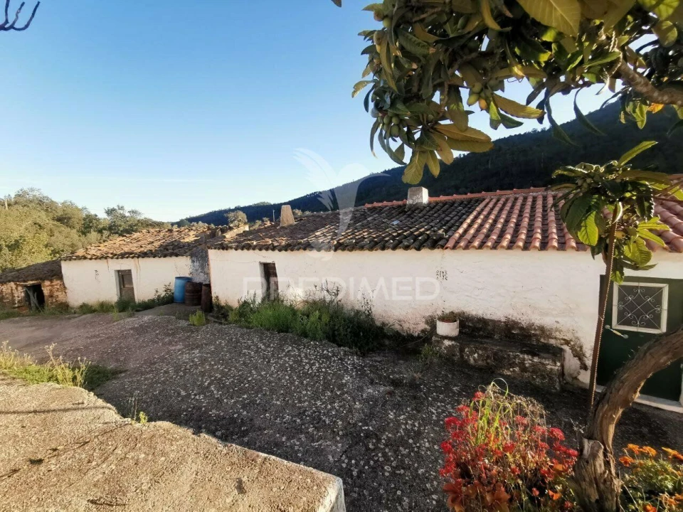 Quinta T3 para Venda em Salir Foto 5