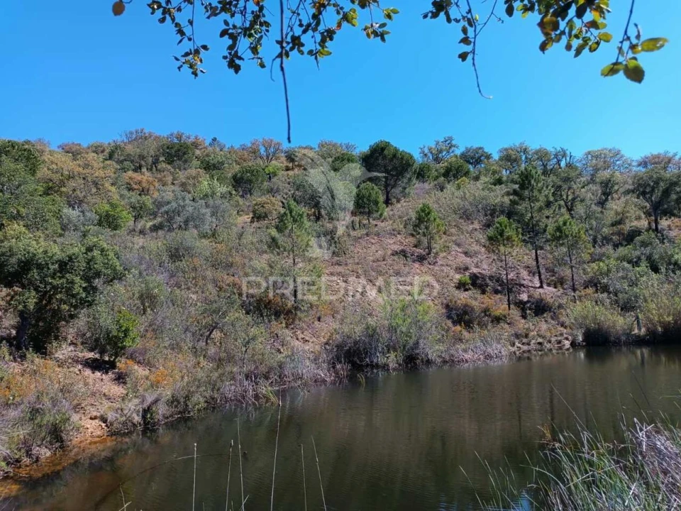 Quinta T3 para Venda em Salir Foto 18