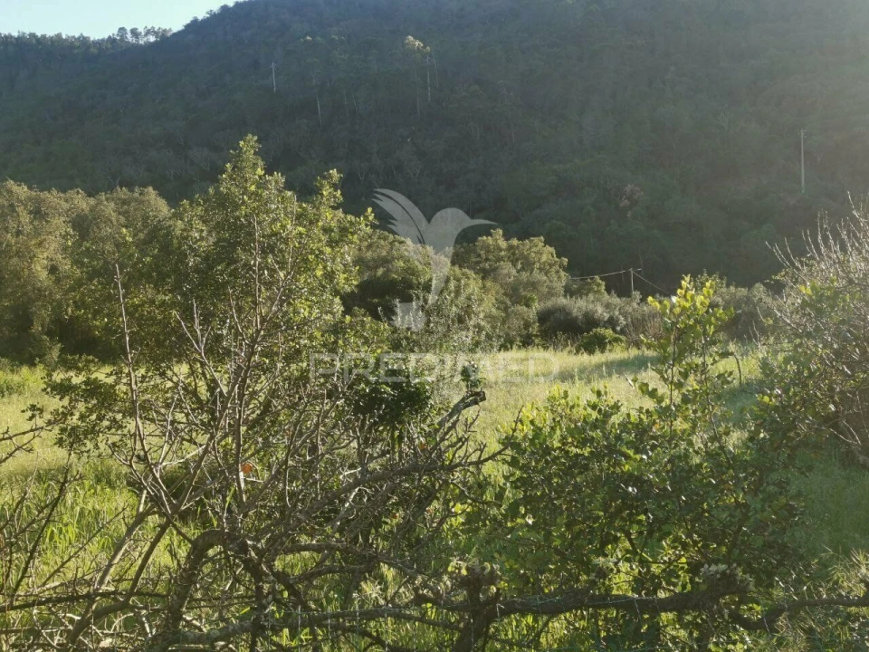 Quinta T3 para Venda em Salir Foto 27