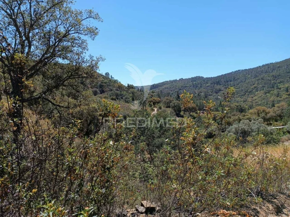 Quinta T3 para Venda em Salir Foto 35