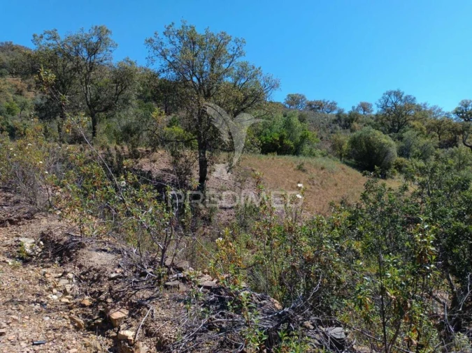 Quinta T3 para Venda em Salir Foto 33