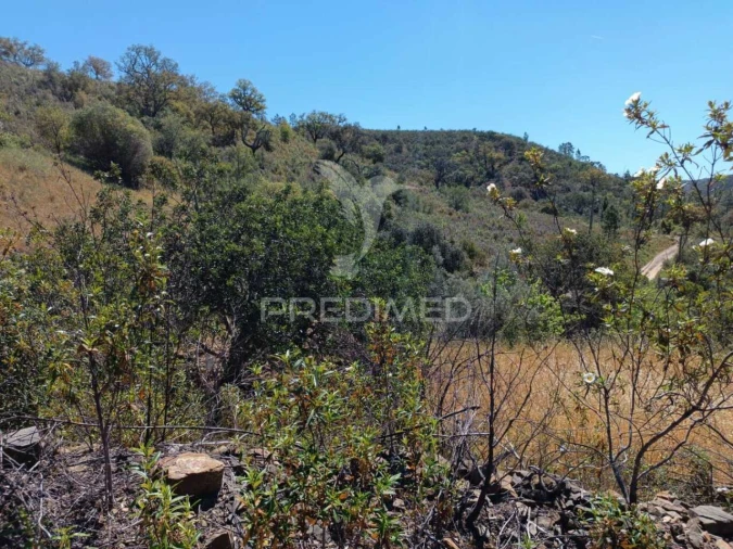 Quinta T3 para Venda em Salir Foto 15