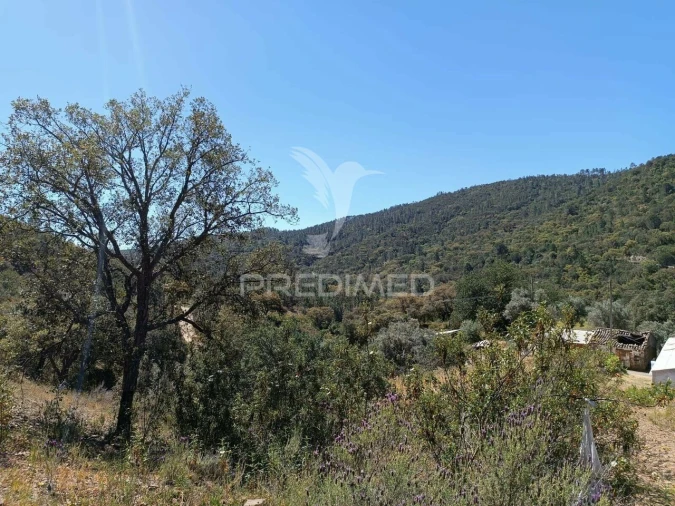 Quinta T3 para Venda em Salir Foto 31