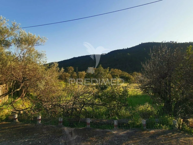 Quinta T3 para Venda em Salir Foto 28