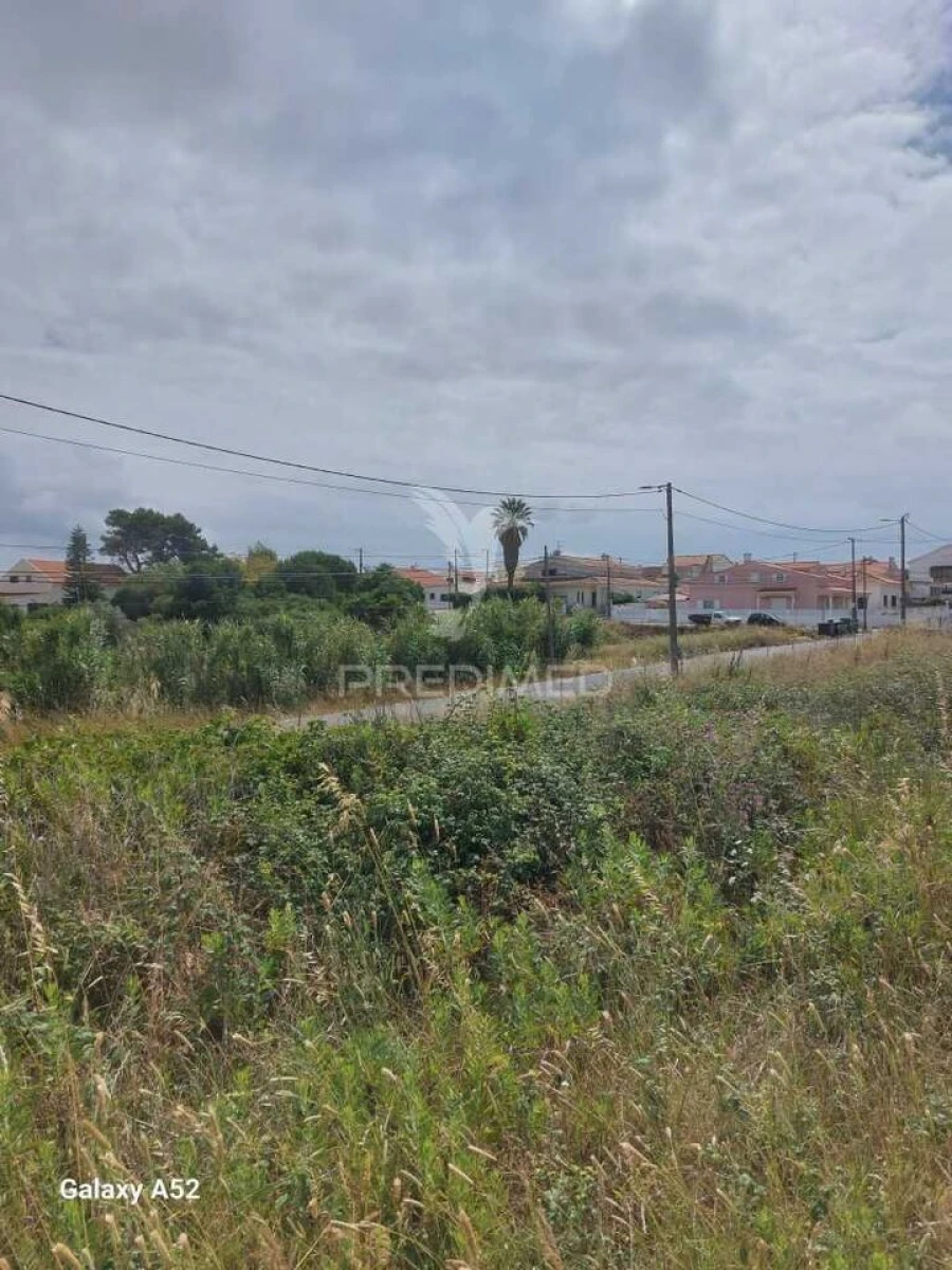 Terreno para Venda em Sesimbra (Castelo) Foto 5