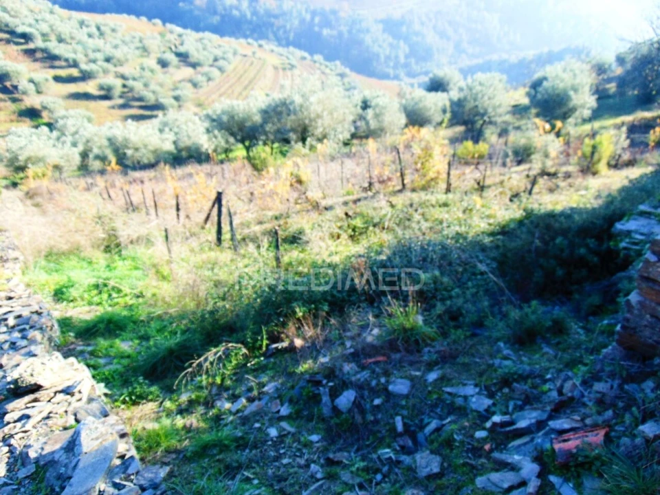 Terreno para Venda em Abaças Foto 3