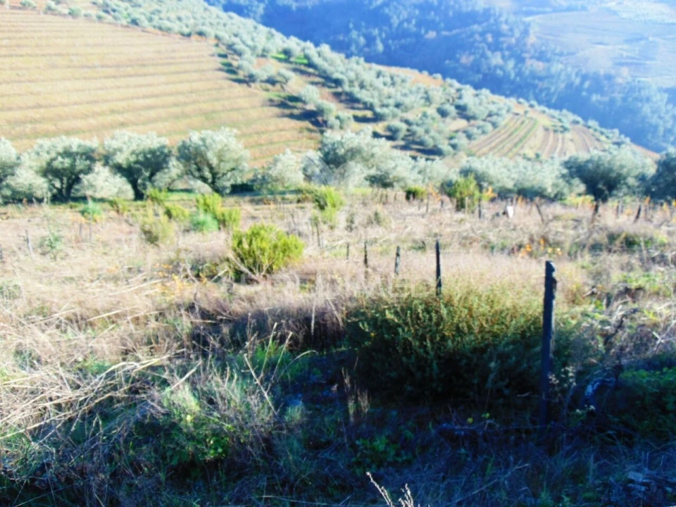 Terreno para Venda em Abaças Foto 6