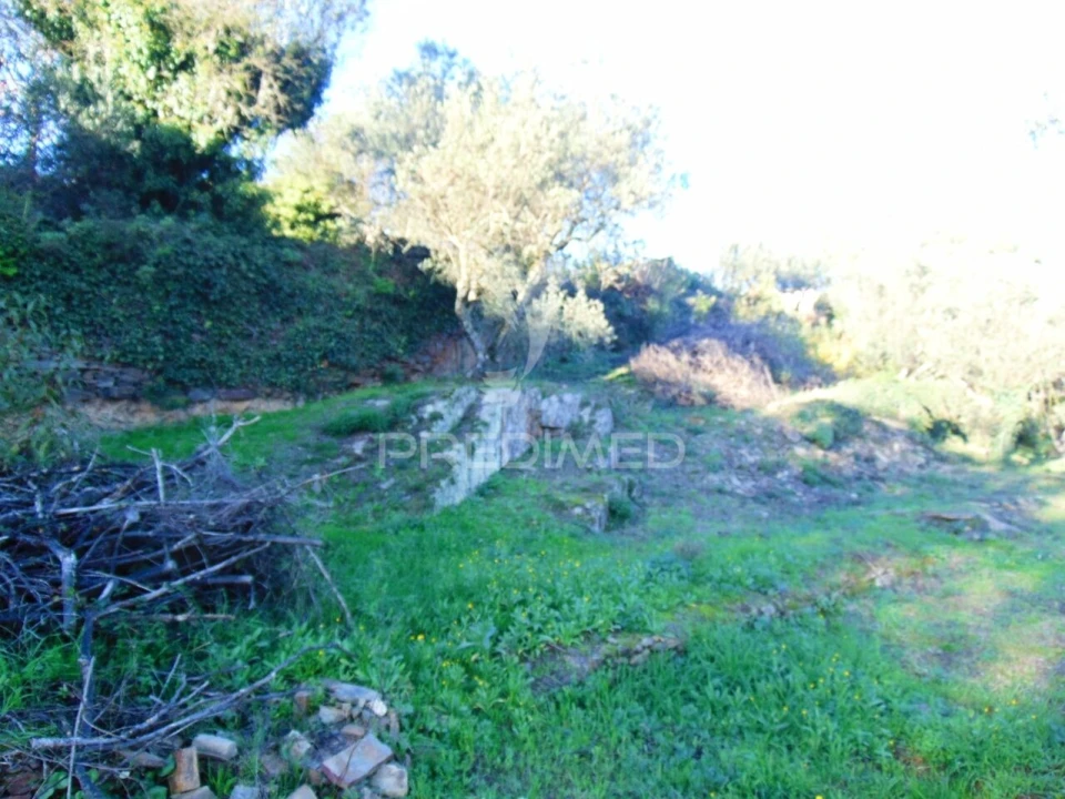 Terreno para Venda em Abaças Foto 11
