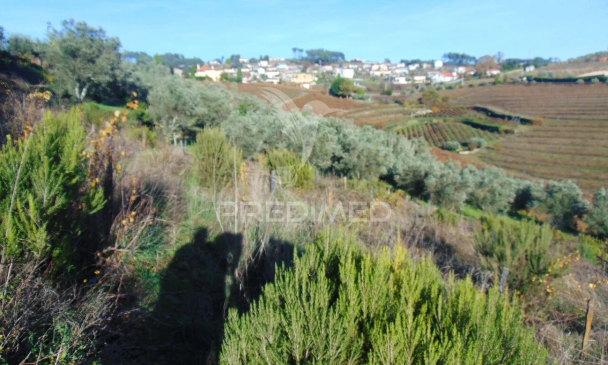 Terreno para Venda em Abaças Foto 7