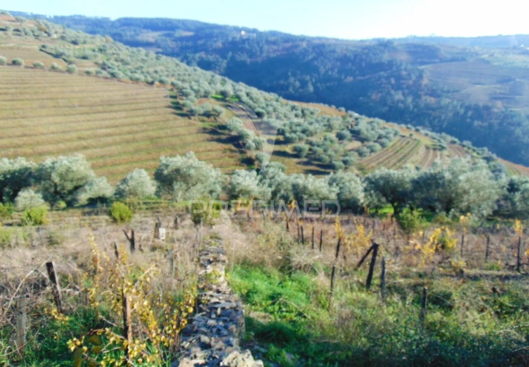 Terreno para Venda em Abaças Foto 4