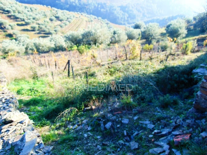 Terreno para Venda em Abaças Foto 3