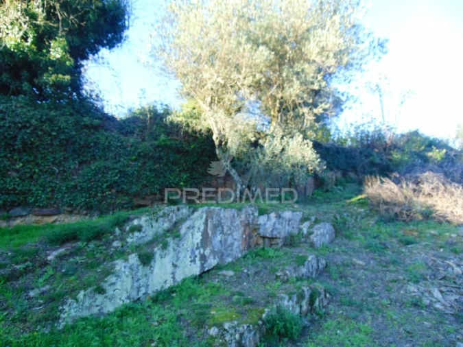 Terreno para Venda em Abaças Foto 12
