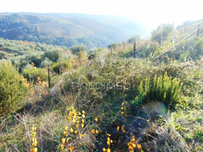 Terreno para Venda em Abaças Foto 8
