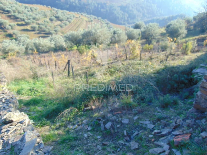 Terreno para Venda em Abaças Foto 18