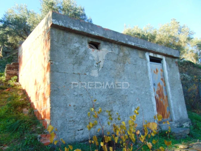 Terreno para Venda em Abaças Foto 5