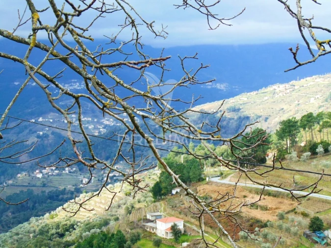 Terreno para Venda em Torgueda Foto 12