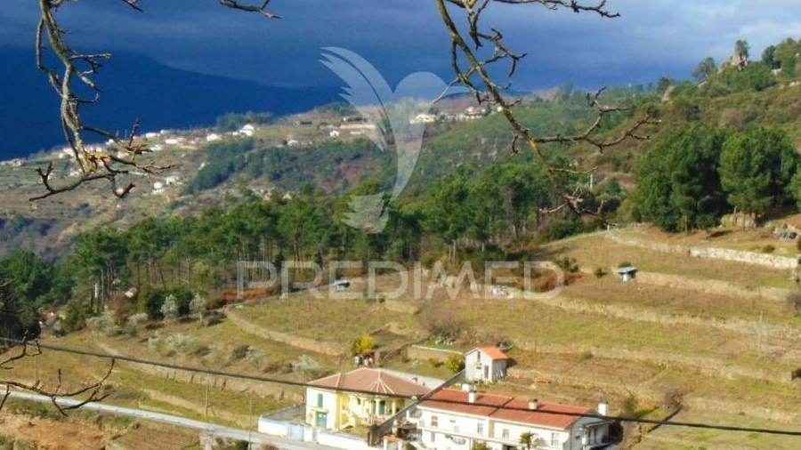 Terreno para Venda em Torgueda